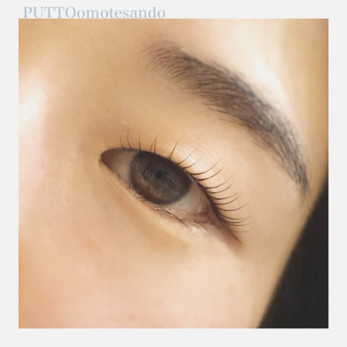 blogを更新しました🆙　一重・奥二重でも上がるLashliftについて