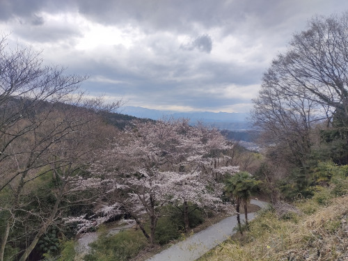 IMG20250406105851.jpg