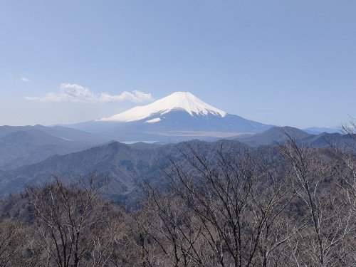 IMG20250409115338.jpg