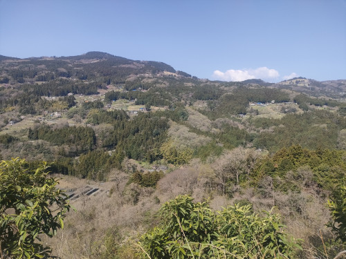IMG20250412093133.jpg