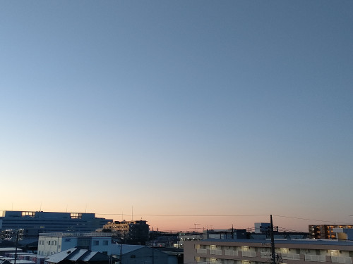 IMG20250503043413.jpg