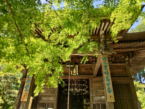 IMG20250511125608.jpg