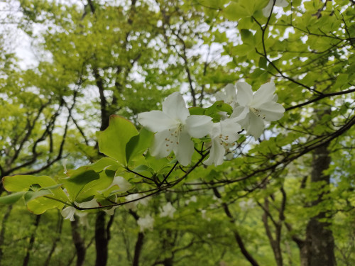 IMG20250515120903.jpg