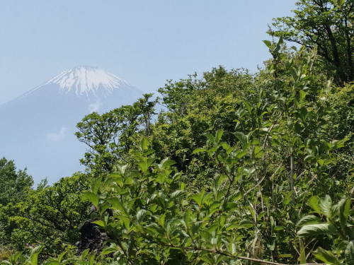 IMG20250520131307.jpg