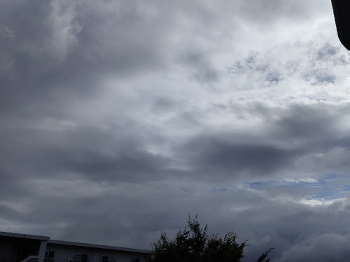 IMG20250715165714.jpg