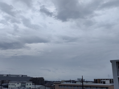 IMG20250810110304.jpg