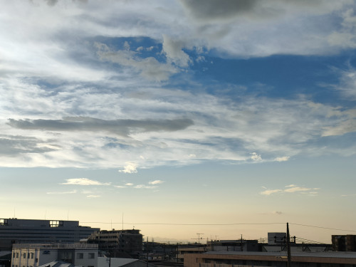 IMG20250911055523.jpg