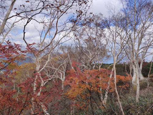IMG20251012121352.jpg