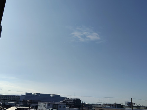 IMG20260525065100.jpg