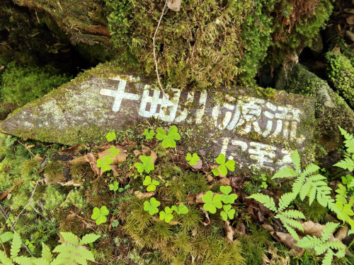 IMG20260605125613.jpg