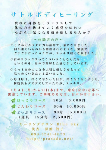 サトルボディヒーリング東京出張