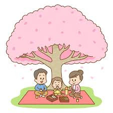 hanami_01.png