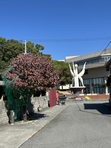 11月の営業案内