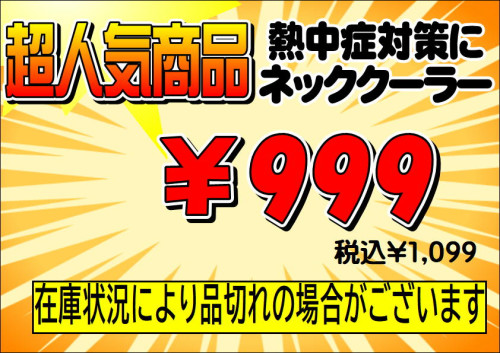 999_01.JPG