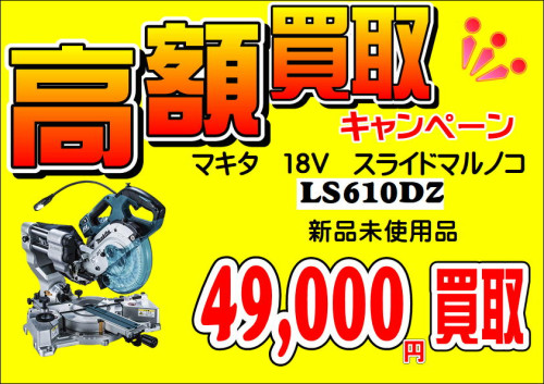49000_01.JPG