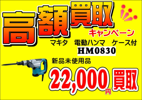 22000_01.JPG