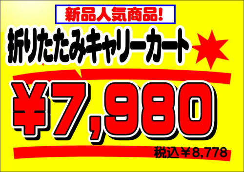 8778_01.JPG