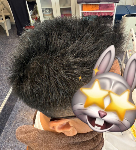 S__97583138.jpg
