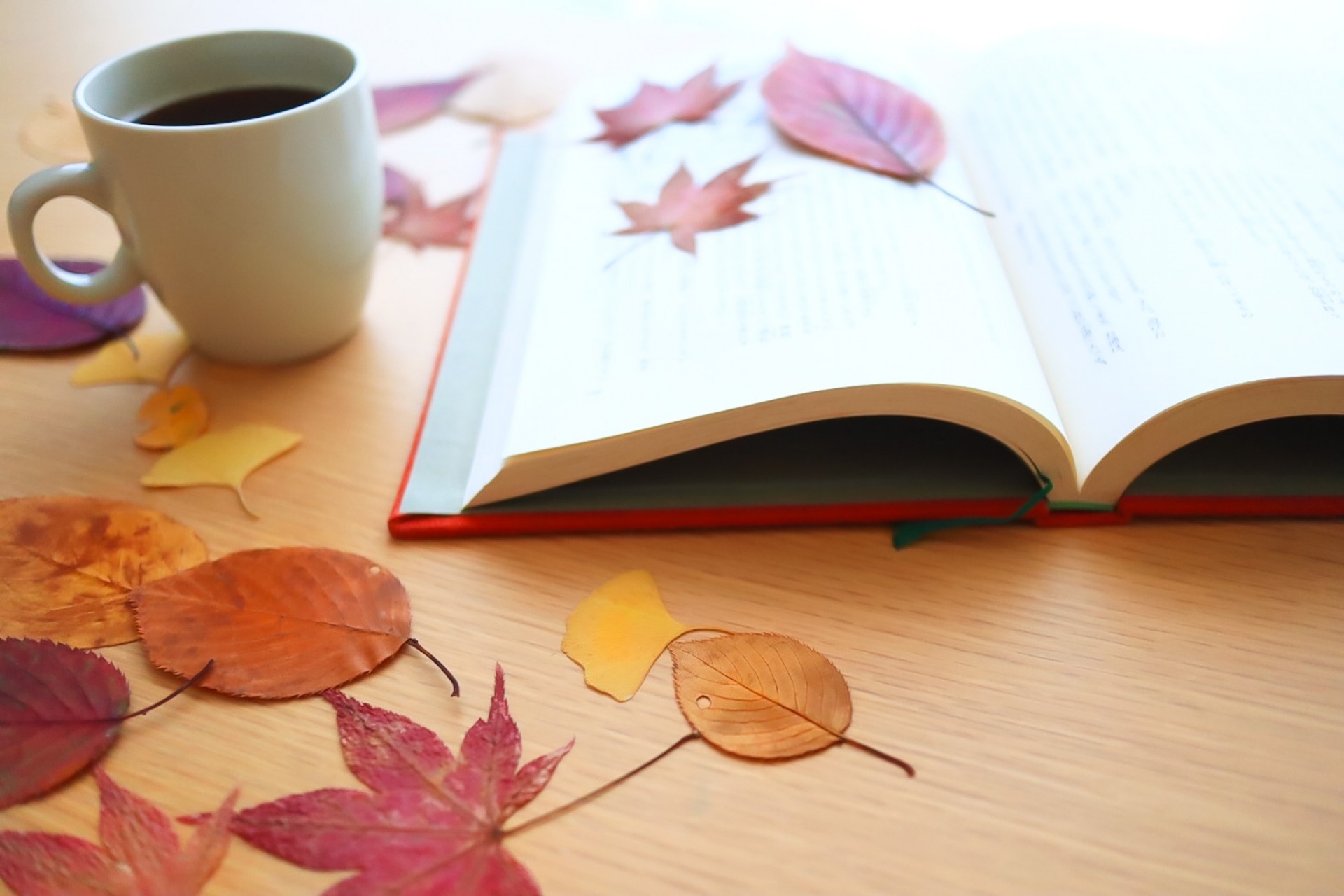 11/14(金)は店舗休業日です。