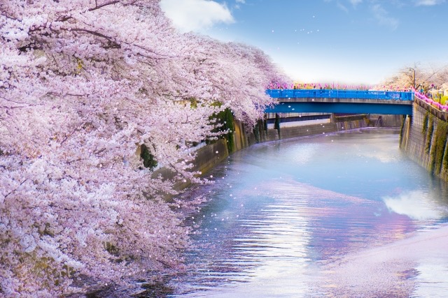 料金改定のお知らせ