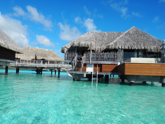 4/24(金)は店舗休業日となっております。