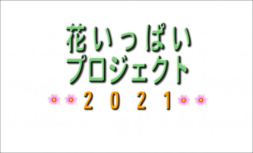 2230011.JPG