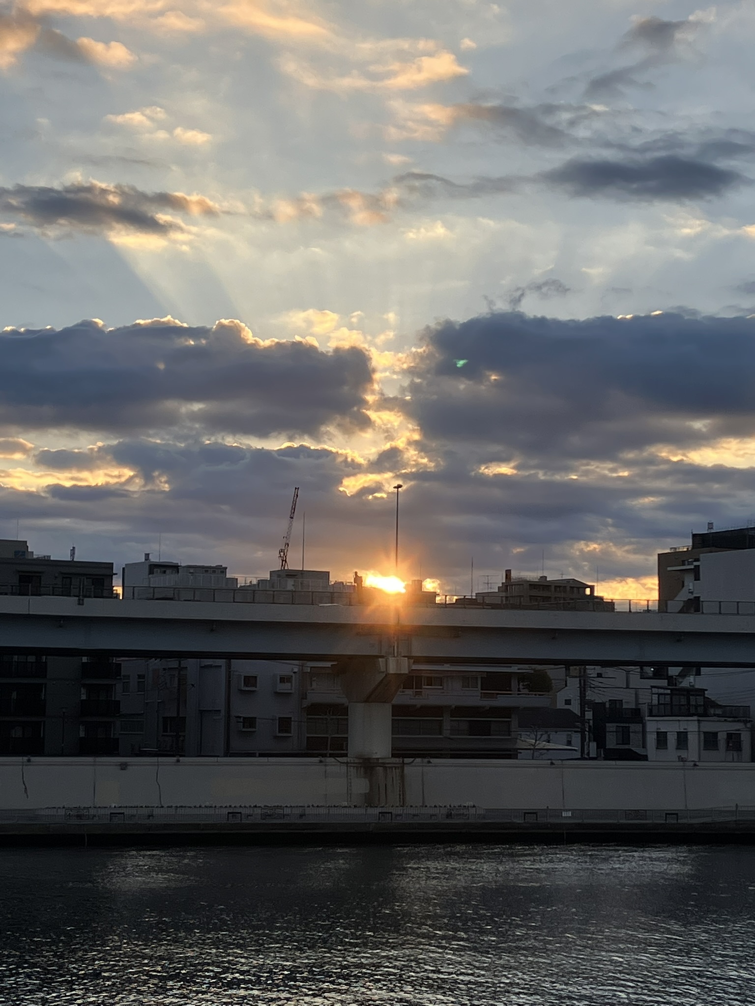 謹賀新年　本年もどうぞよろしくお願いいたします