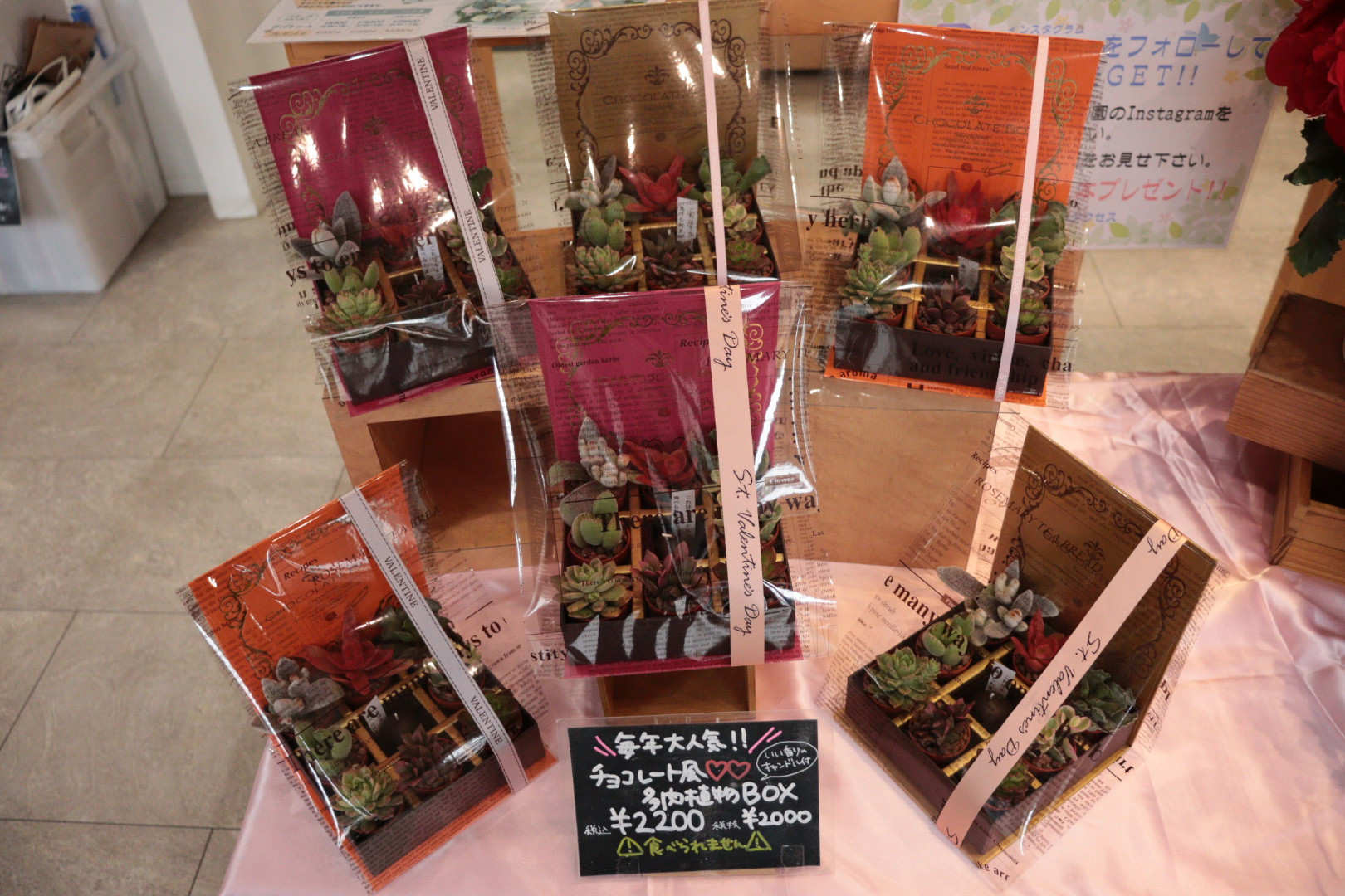 ﾌﾗﾜｰﾊﾞﾚﾝﾀｲﾝ