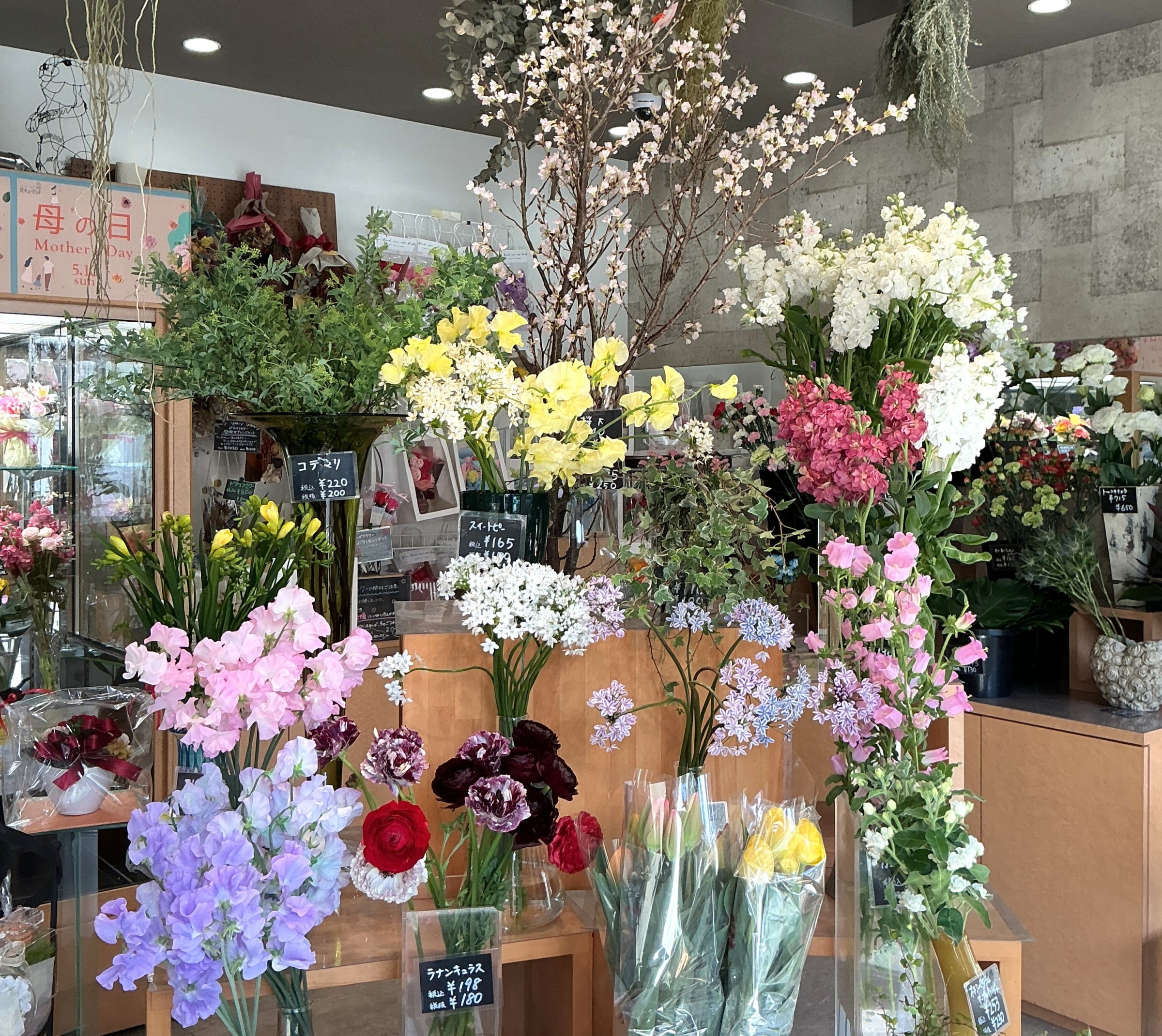 春の花いっぱい