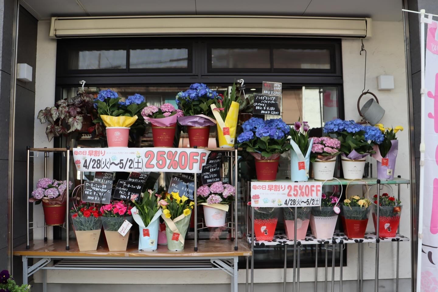 母の日の感謝を先取り！選べる鉢植え25%OFF早割キャンペーン