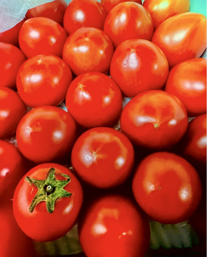 スクリーンショット 2025-11-25 17.24.50.jpeg