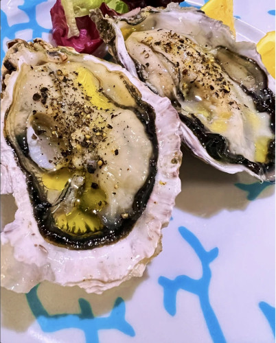 スクリーンショット 2025-11-25 17.49.56.jpeg