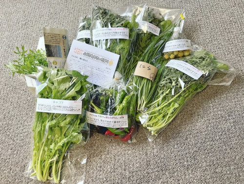 スクリーンショット 2025-11-25 17.48.23.jpeg