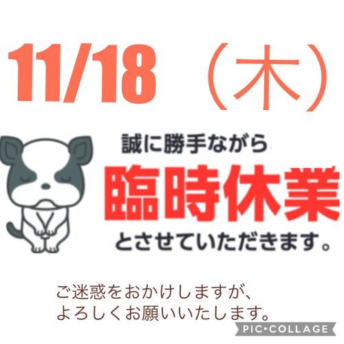 11/18（木）臨時休業いただきます！