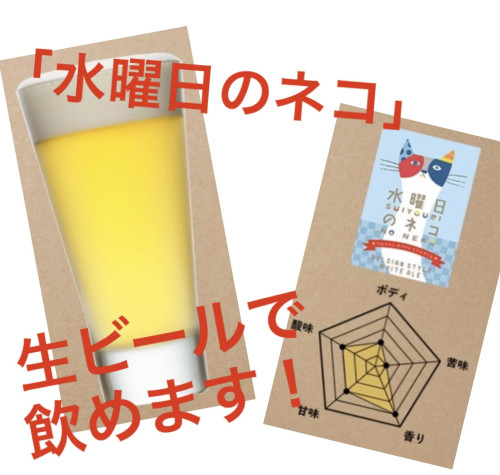 「水曜日のネコ」生ビールで召し上がれます！