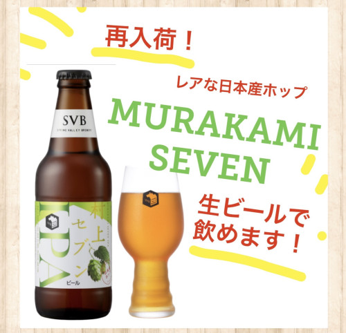 日本産ホップの「MURAKAMI SEVEN」 再入荷しました！