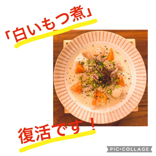 大人気「白いもつ煮」、復活しました😀😀