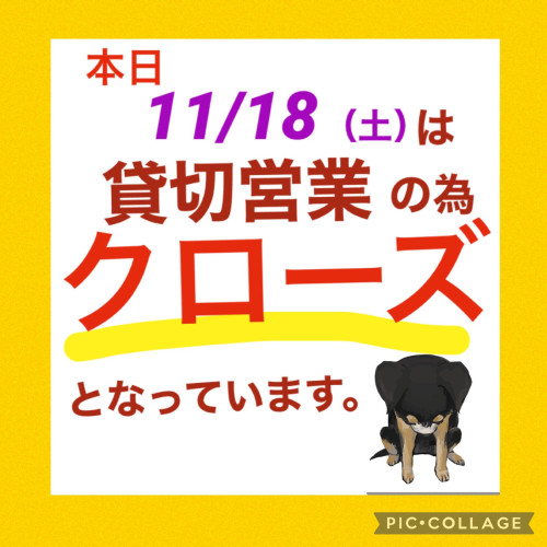 本日、11/19（土）は貸切でクローズしております！