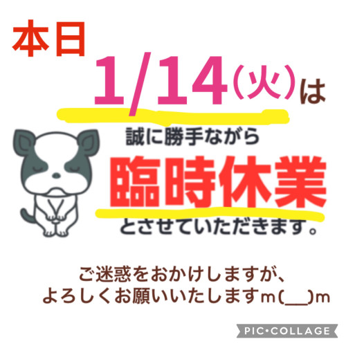 1/14（火）は臨時休業させていただきます。