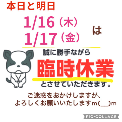 1/16（木）、17（金）は臨時休業となります。