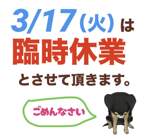 3/17（火）はお休みさせて頂きます
