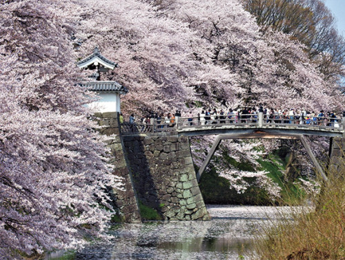 kita043.jpg
