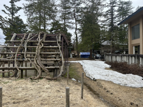 IMG_9264.JPG