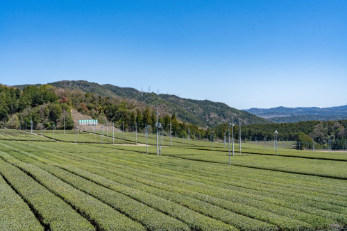 田原町２.jpg