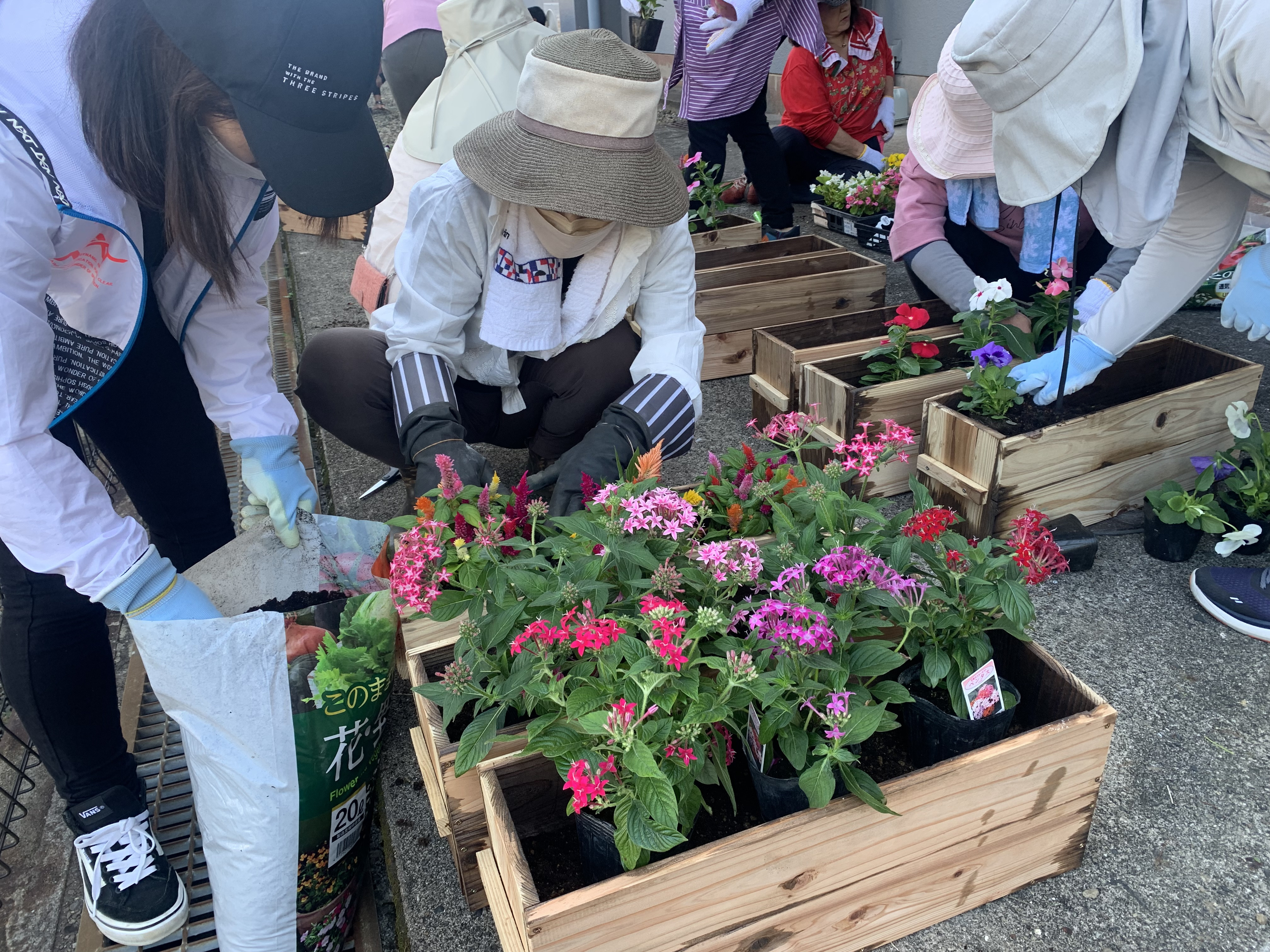 花・華・はな〜花いっぱい運動〜