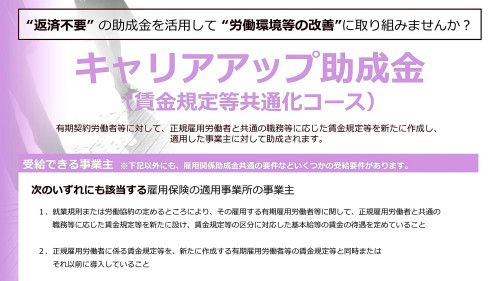 助成金（キャリア）L.jpg