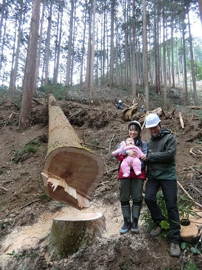 伐られたばかりの９０年杉と記念撮影