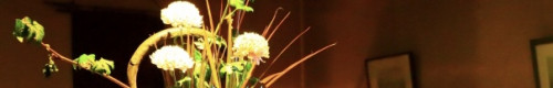 037D2CED-1921-448F-A9D9-6290130179B9.jpeg
