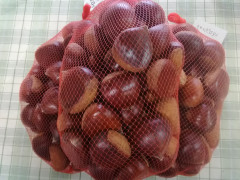 IMG_20210906_105847.jpg