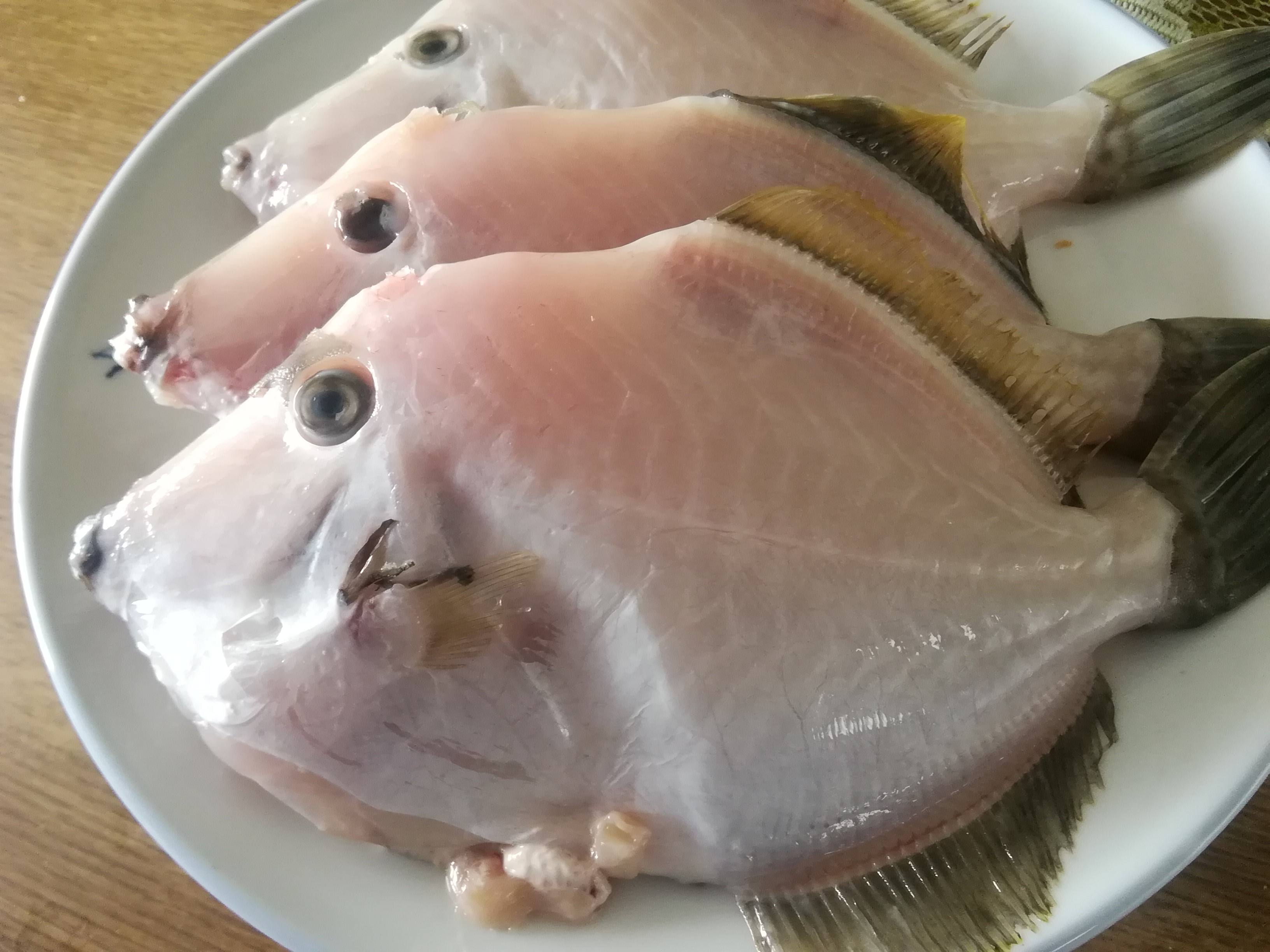 1月16日〈月〉のメニュー 縞鯵・鰤・槍烏賊・三文魚・鮭・秋醤蝦・黒目張・皮剥・公魚・青箭魚・牡蠣など入荷 - 成田家田町店 テイクアウト専門